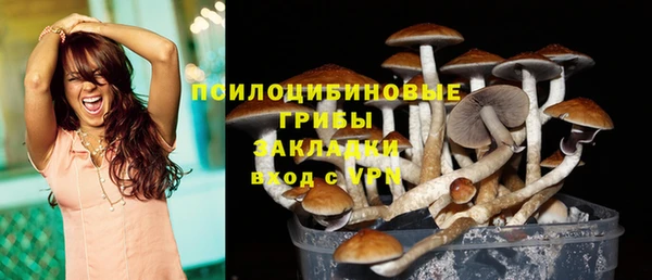 ПСИЛОЦИБИНОВЫЕ ГРИБЫ Кинешма