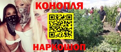 молекула духа Бузулук