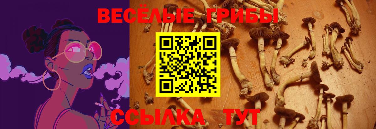 Псилоцибиновые грибы мухоморы  Вход с VPN  Галлюциногенные грибы мицелий  Котельники 
